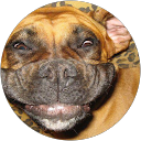 Babsy Babs Babsy Babs