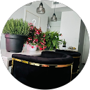 Coke Shame Coke Shame