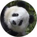 Judy Chiang Judy Chiang